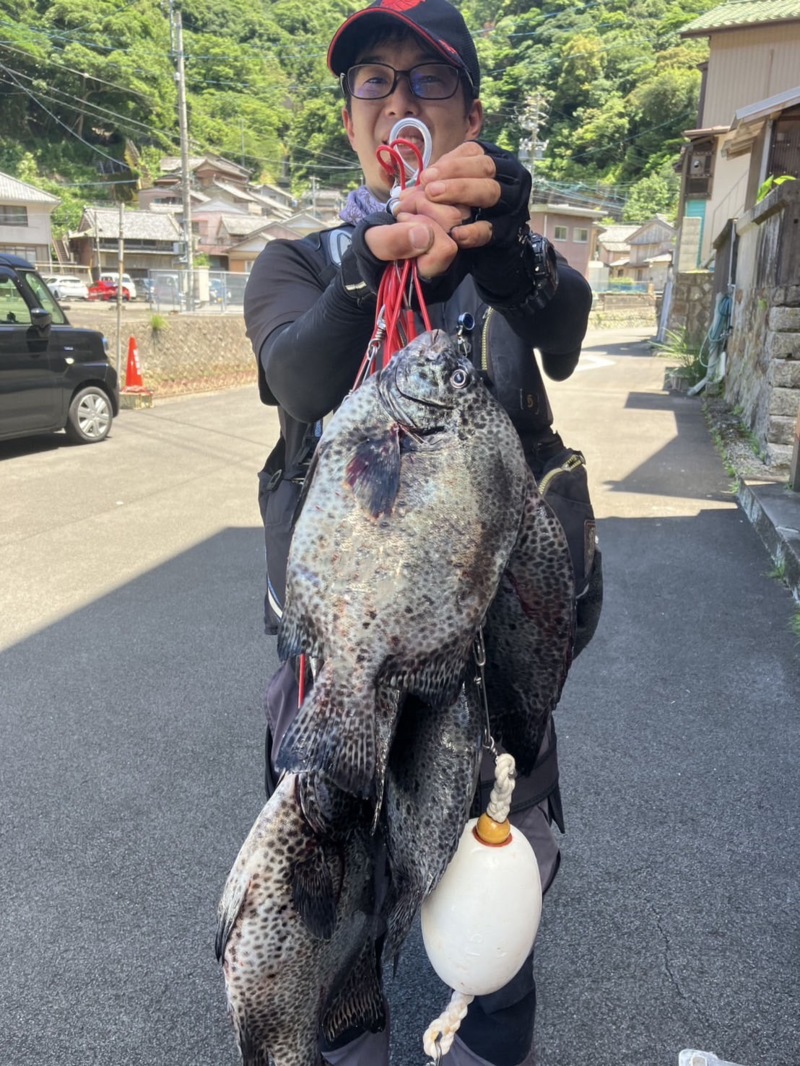 尾鷲梶賀 底物