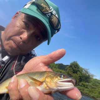 鳥取 千代川鮎友釣り