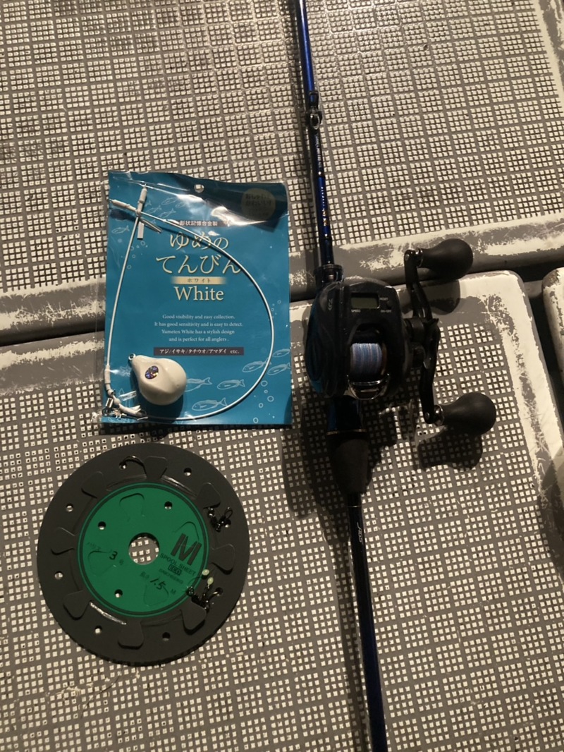 紀北 白甘鯛釣行