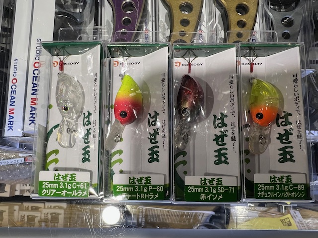 福井県久々子湖の岸からルアーでハゼ釣果