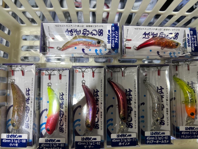 福井県久々子湖の岸からルアーでハゼ釣果