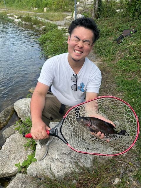 トラウト