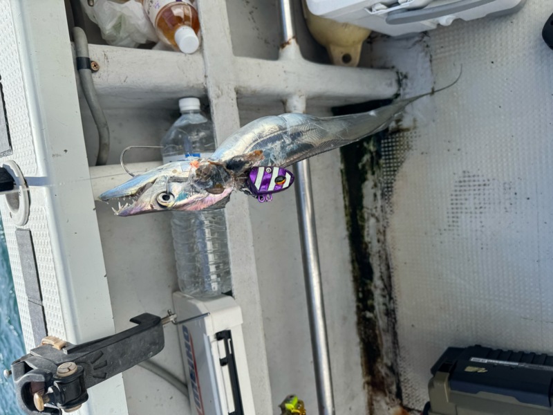 釣人家 船タチウオテンヤ