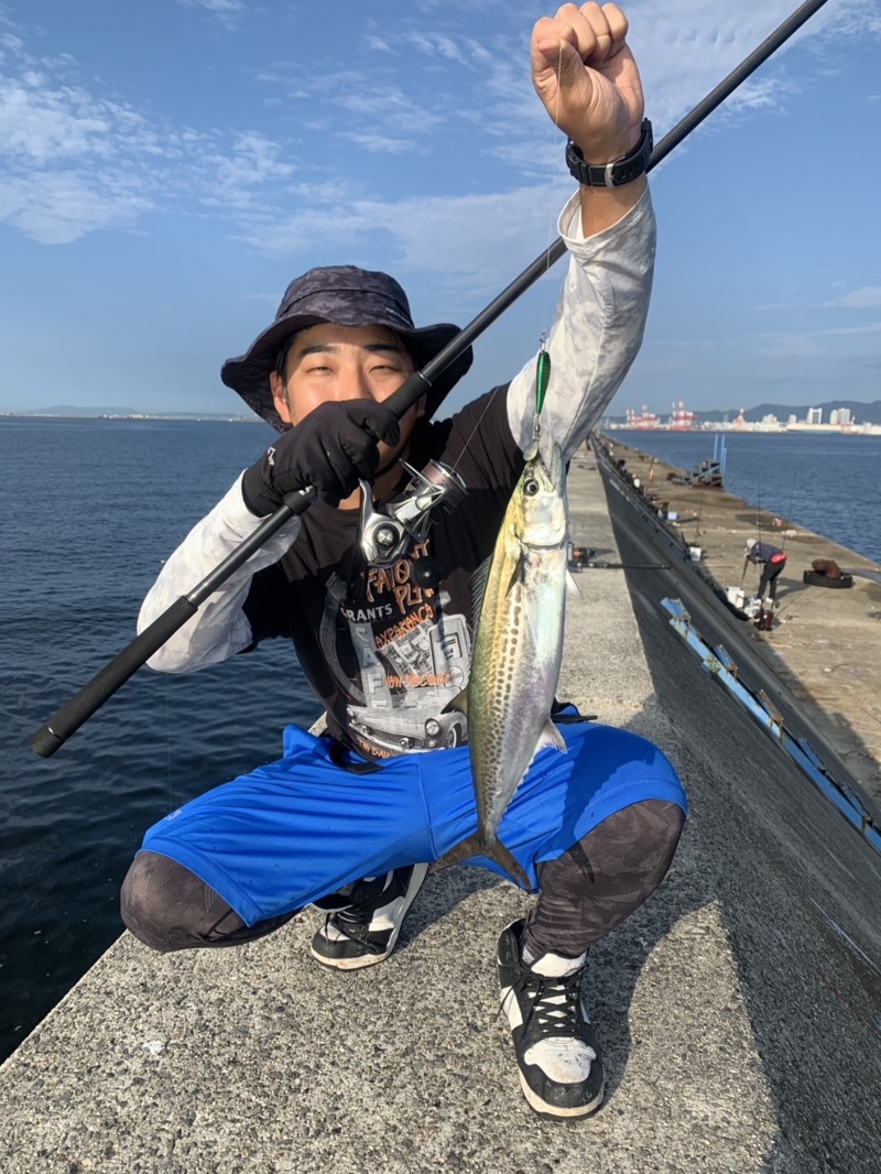 10/14 武庫川一文字にてサゴシ連発‼️