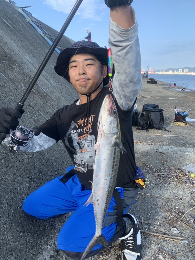 10/14 武庫川一文字にてサゴシ連発‼️