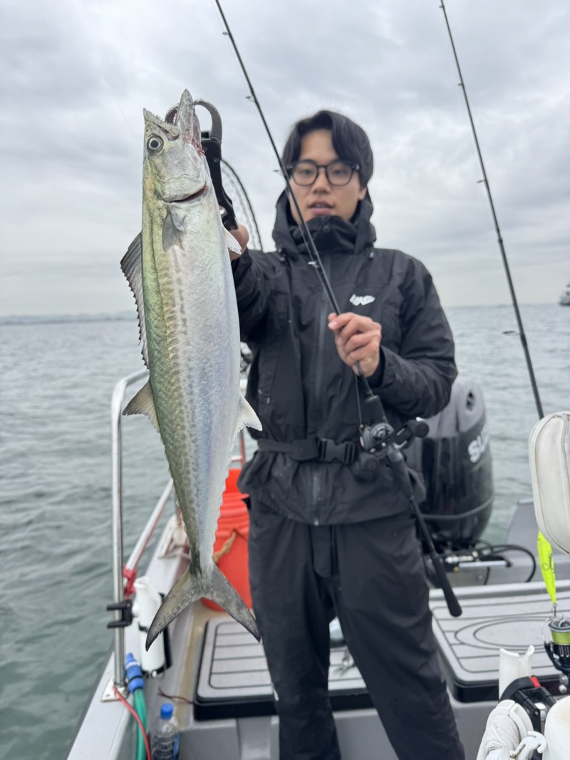 大阪湾サワキャス