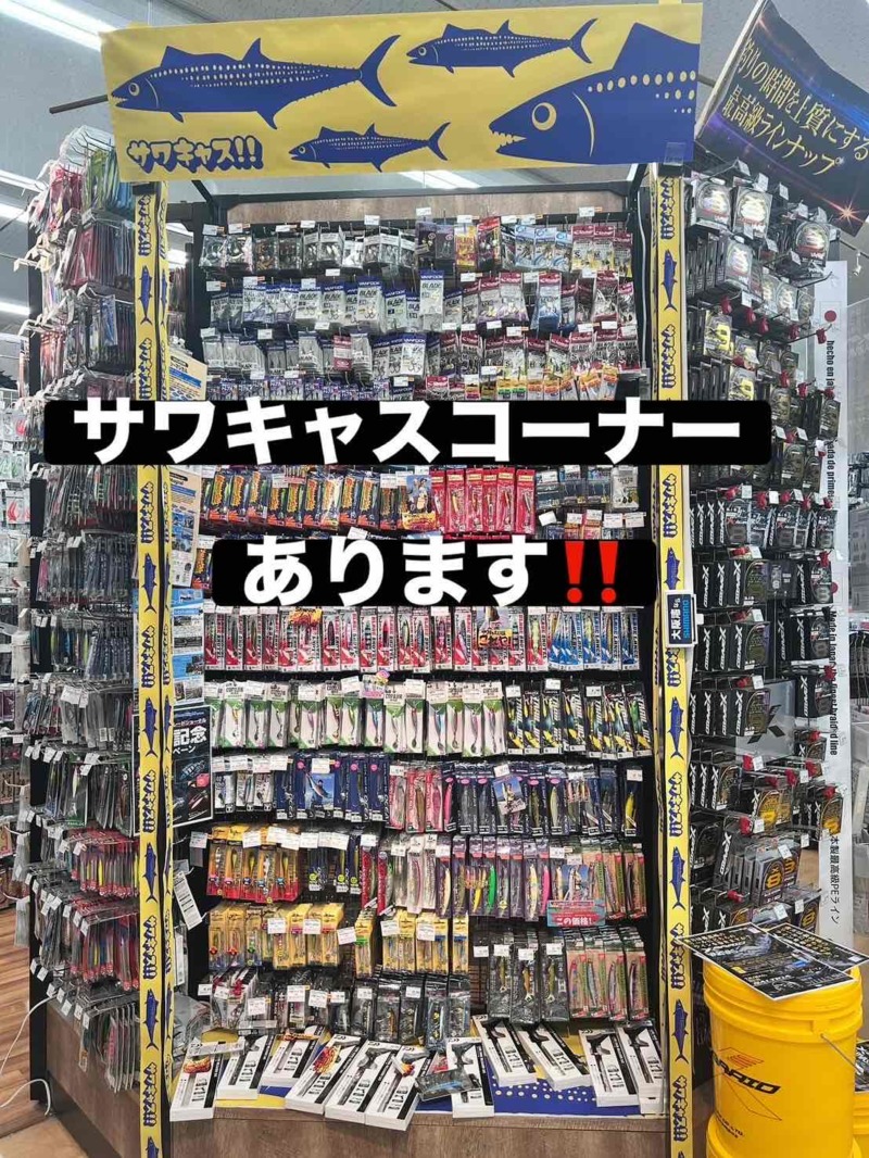 大阪湾サワキャス