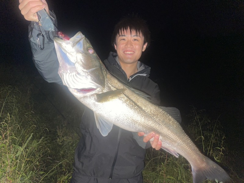 円山川シーバス釣行