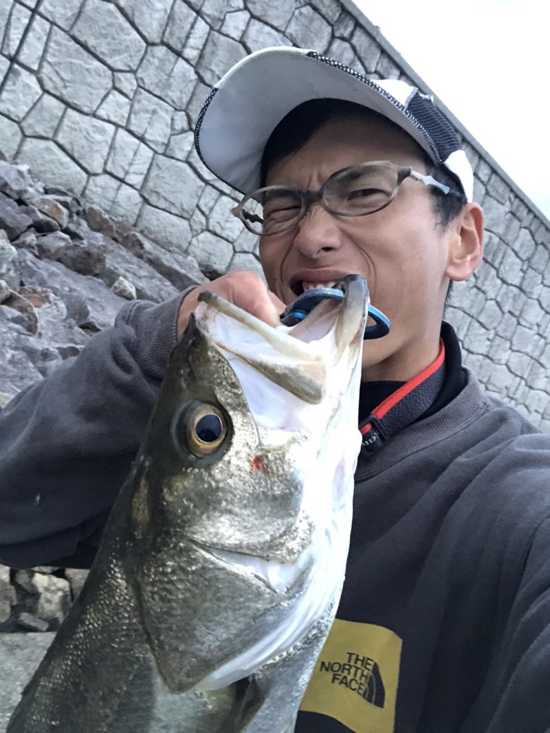 円山川シーバス釣行