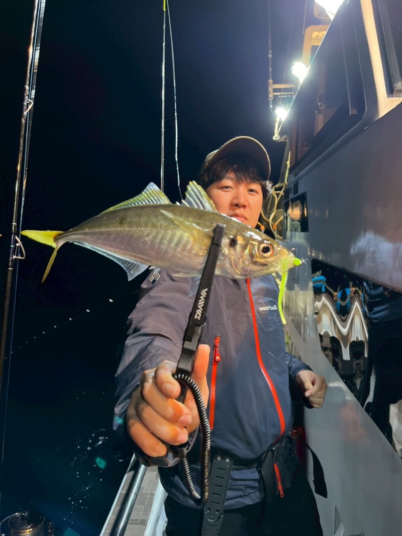 和歌山バチコンアジング