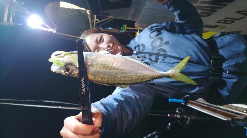 和歌山バチコンアジング