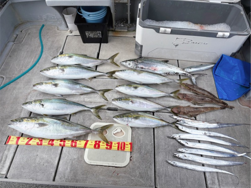 友ヶ島周辺タチウオ調査&のませ釣り