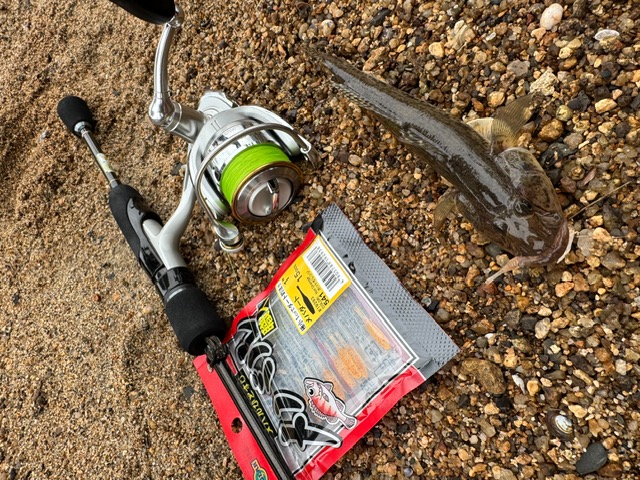 日本海方面ハゼ釣り9