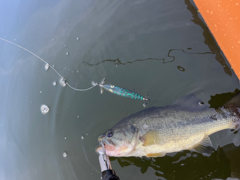 高山ダムのトップゲーム