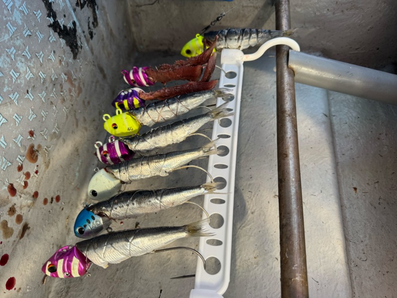 食いしん坊おじさんが行くタチウオ釣り