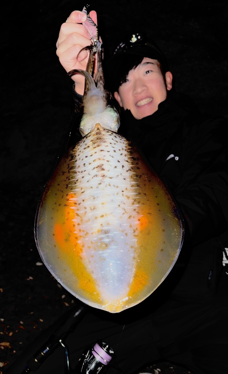 淡路島ナイトエギング🦑