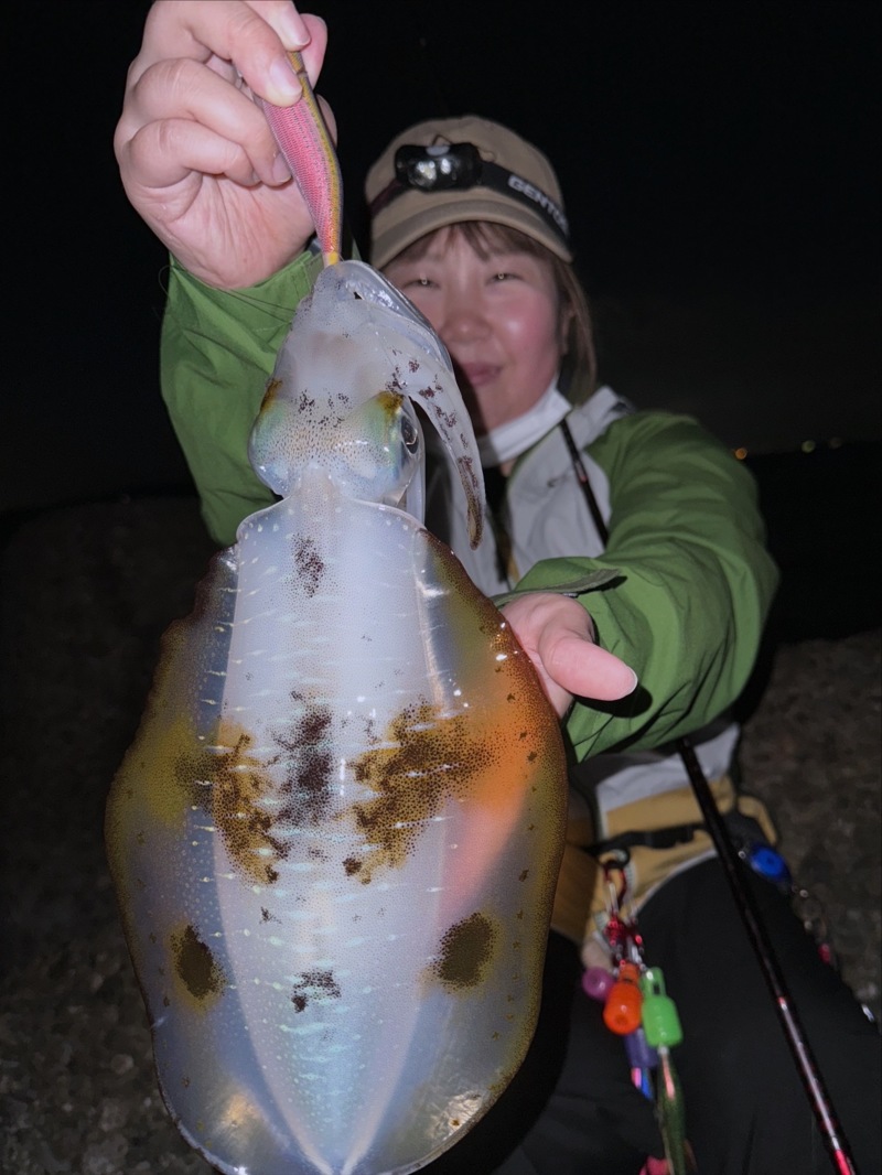 æ·¡è·¯å³¶ã®æµœã‹ã‚‰å¤œã®ã‚¨ã‚®ãƒ³ã‚°ã§ã‚¢ã‚ªãƒªã‚¤ã‚«é‡£æžœ