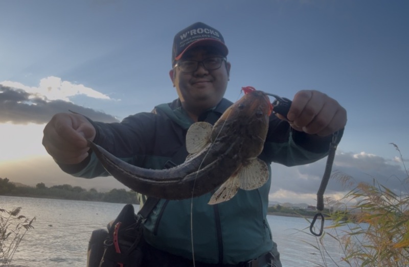 紀ノ川河口11月のフラットフィッシュゲーム