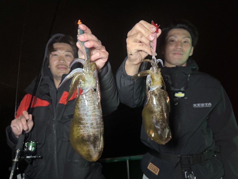 大阪市大正区の「チェイス」でティップランのアオリイカ釣果