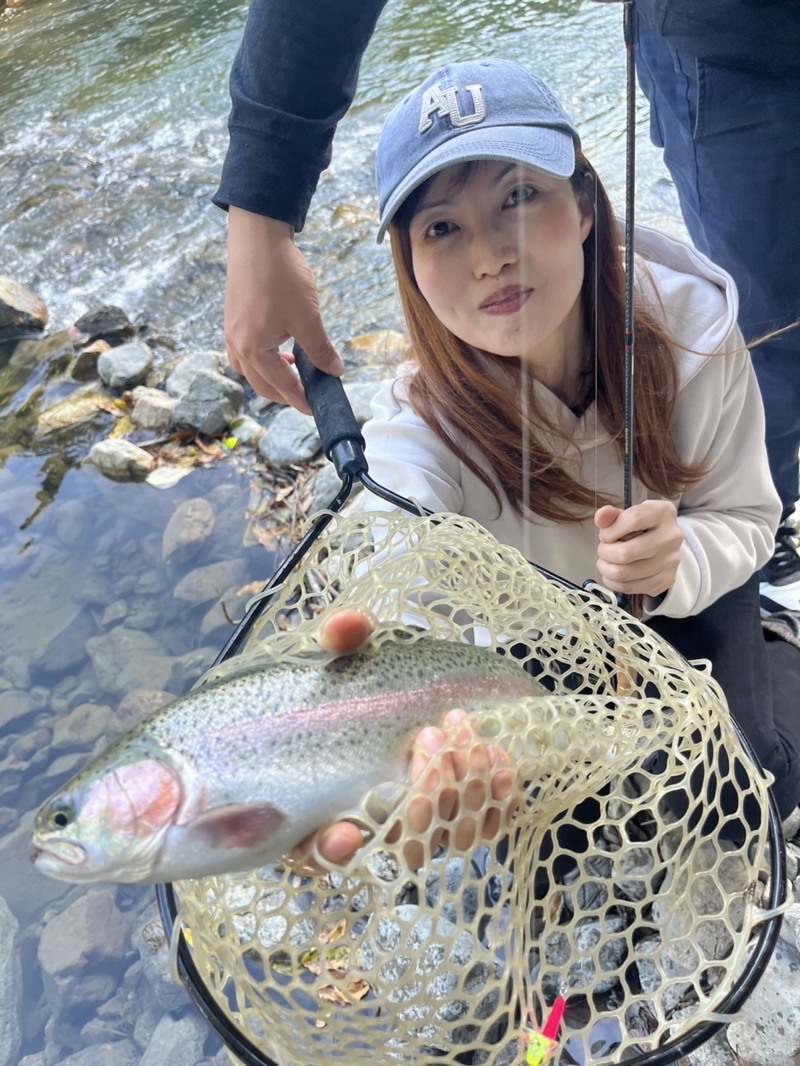 大阪府高槻市の芥川でルアーによるニジマス釣果