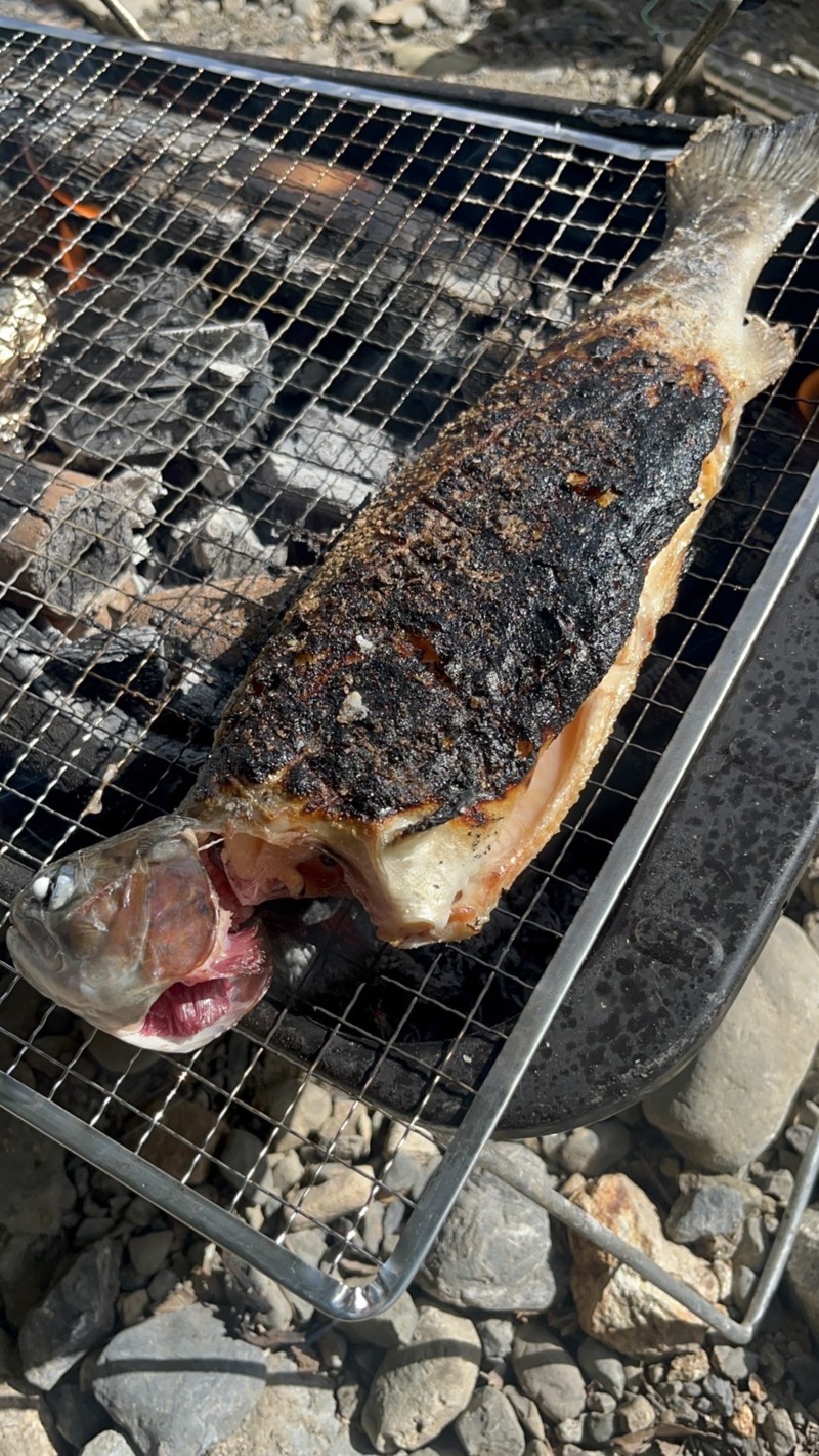 大阪府高槻市の芥川でルアーによるニジマス釣果
