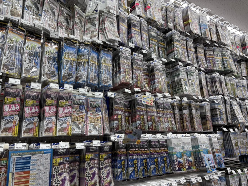 兵庫県香住の船から落とし込み釣りでヒラマサ・ブリ釣果