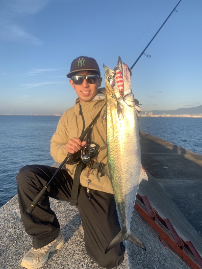 兵庫県武庫川沖の一文字からジグでサゴシ釣果