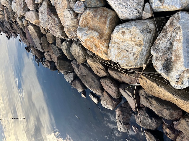 福井県久々子湖の岸からエサ釣りでハゼ釣果