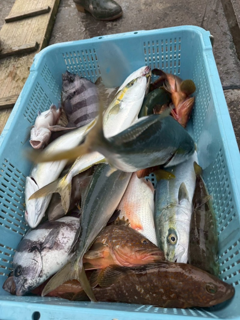 京都伊根の船宿【鍵屋】さんでエサとルアーで五目釣果