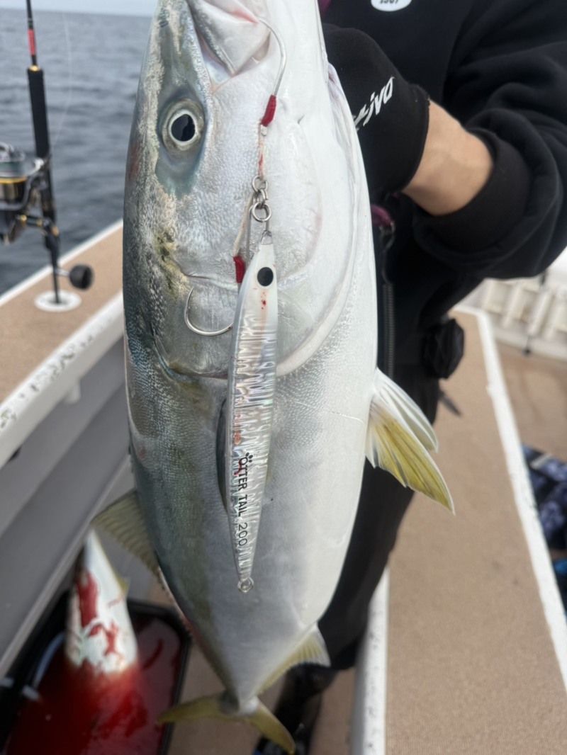 京都丹後半島沖のジギング船でブリ・メジロ釣果