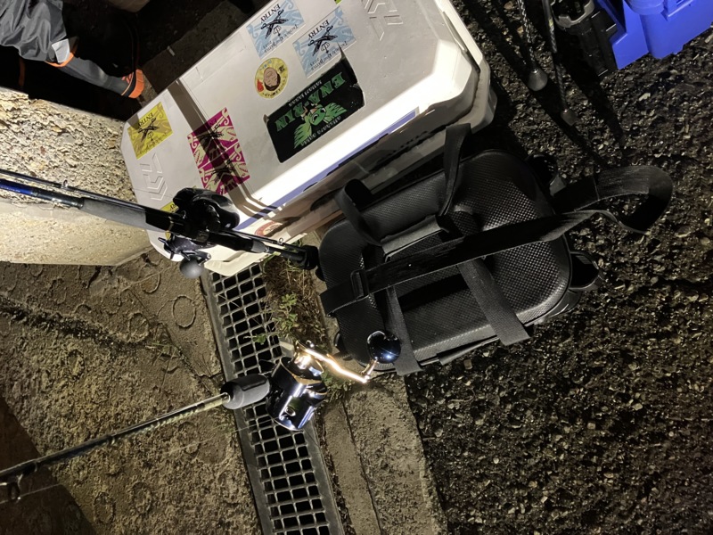 神戸明石の釣船「海連丸」のジギングでグチ釣果