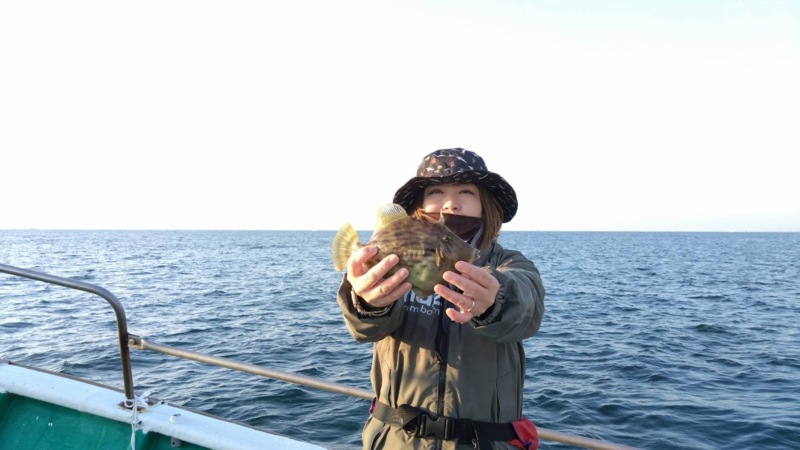 和歌山県和歌山市市堀川の「清風丸」でカワハギ釣果