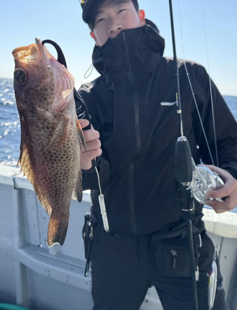 和歌山県田辺沖のジギングでオオモンハタ・アカハタ釣果