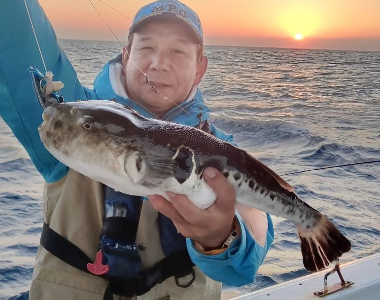 三重県鳥羽市相差から出船の『魚勘丸』のトラフグ釣果