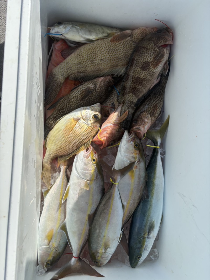 和歌山県田辺市から出船の「ブルーピア」でオオモンハタ釣果