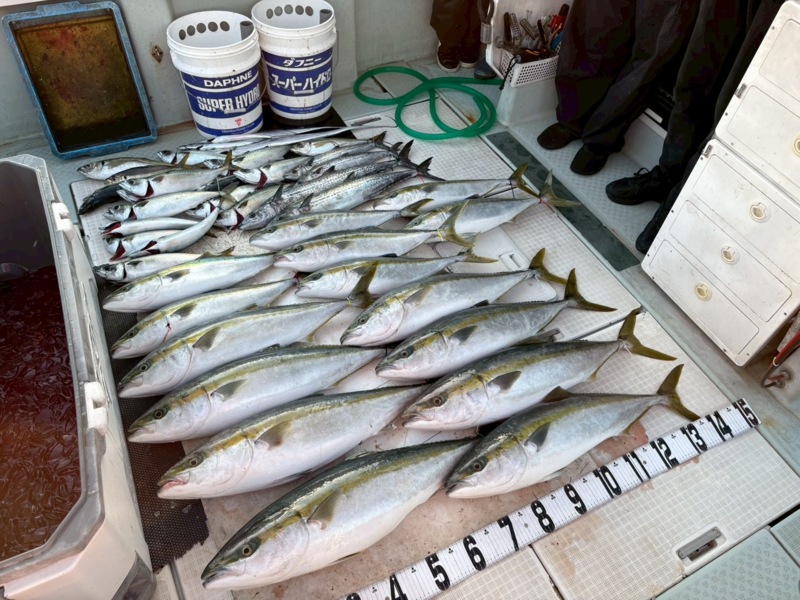 大阪府泉佐野市から出船の「バグース」でブリ・サワラ釣果