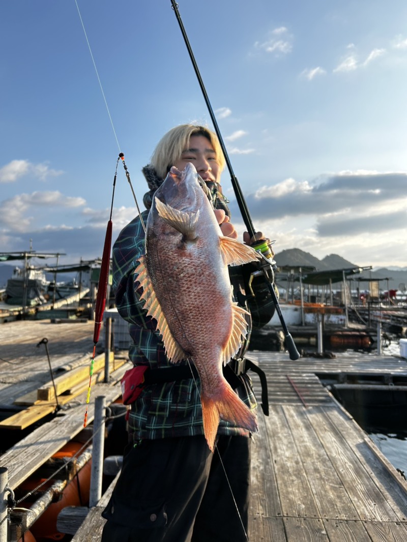 和歌山県広川町の海上釣り堀で真鯛・シマアジ・ハマチ釣果