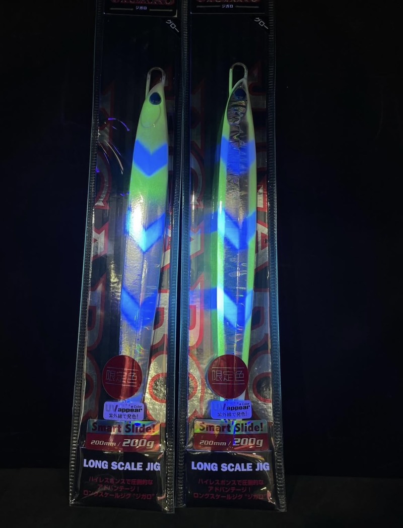 京都府丹後半島沖のジギング船でブリ釣果