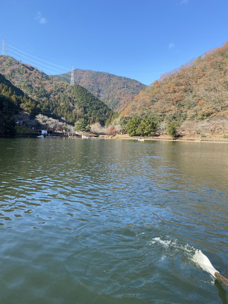 伊自良湖ボートワカサギ釣り釣果