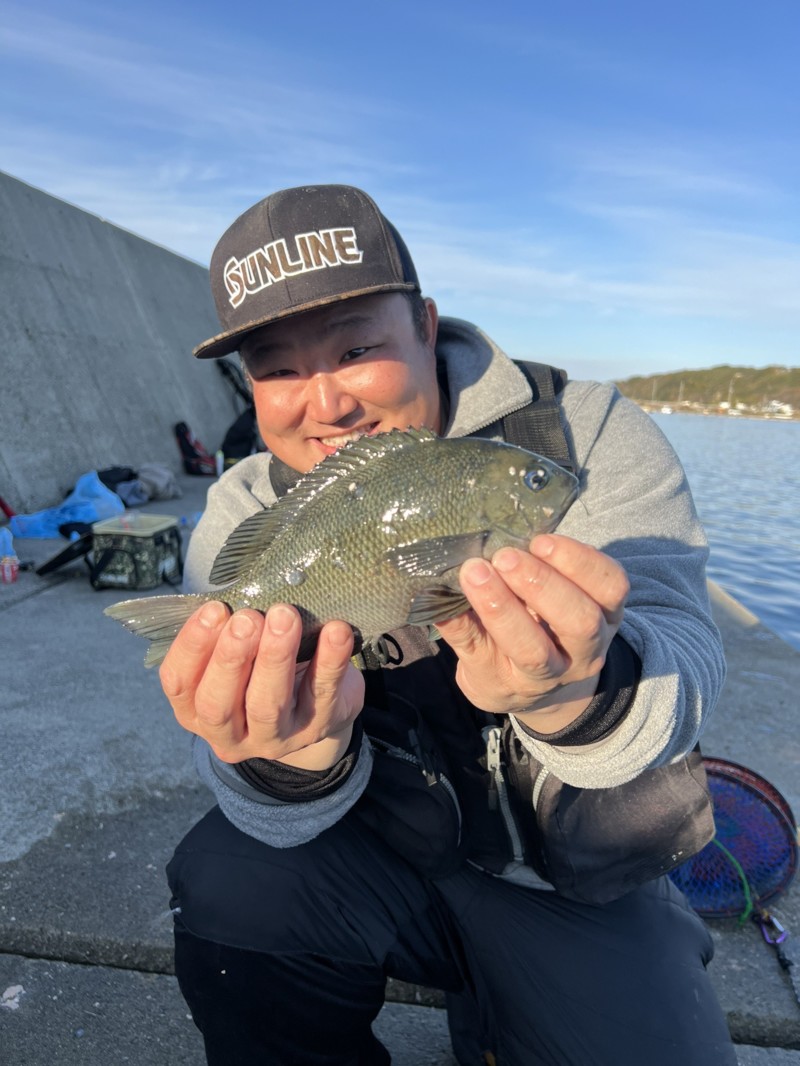 淡路島波止グレ釣行