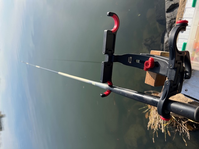 淀川河川公園枚方大橋岸からのオイカワ釣り