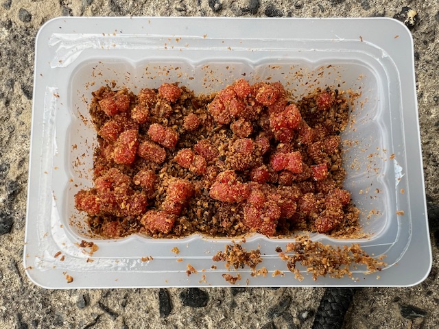 淀川河川公園枚方大橋岸からのオイカワ釣り