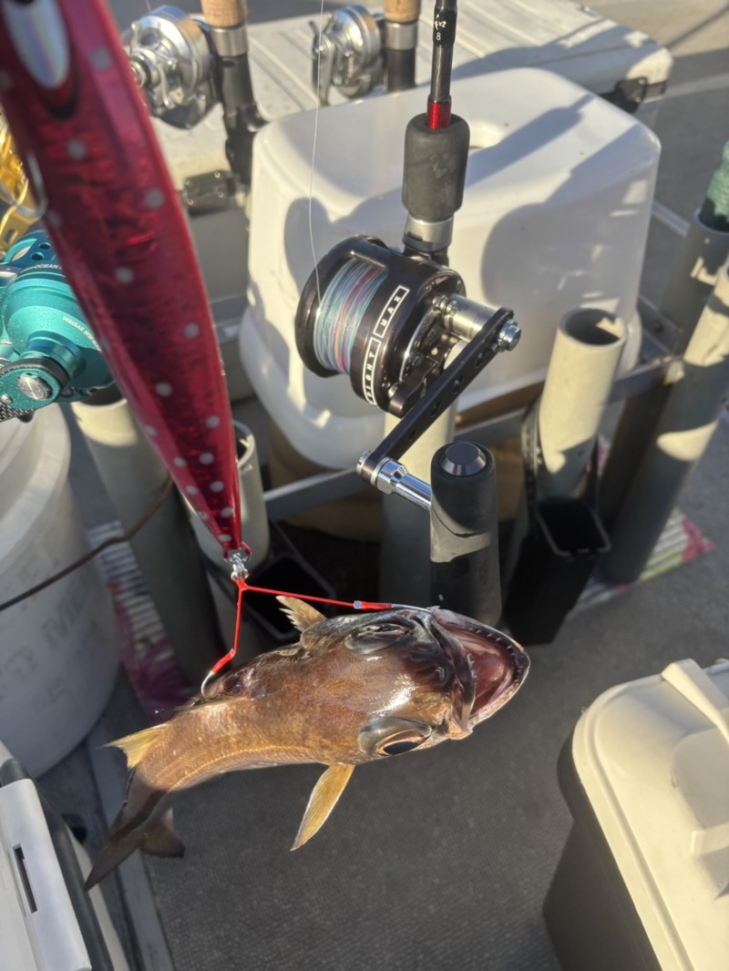 へいみつ丸で中深海ジギング