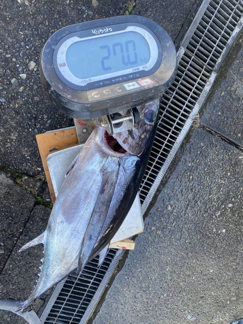 フィッシング隼でキハダフカセ