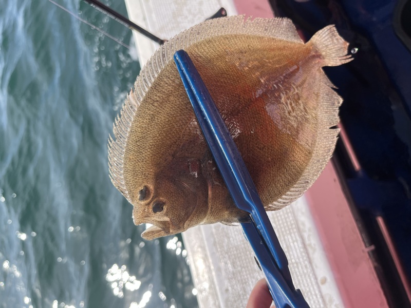 カットウフグ釣り