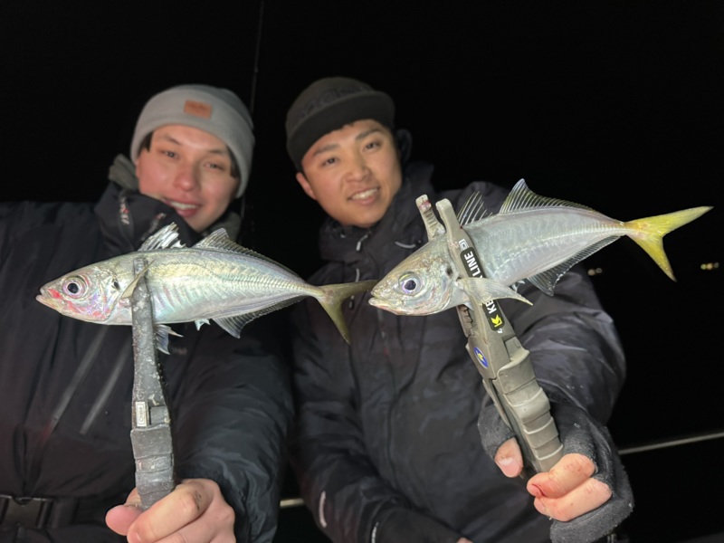 神戸沖ボートアジング釣果!!