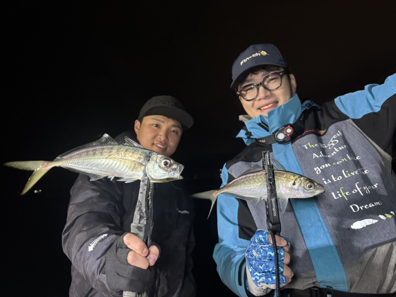 神戸沖ボートアジング釣果!!