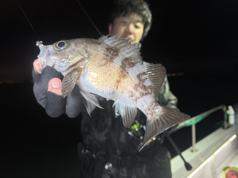 神戸沖ボートアジング釣果!!