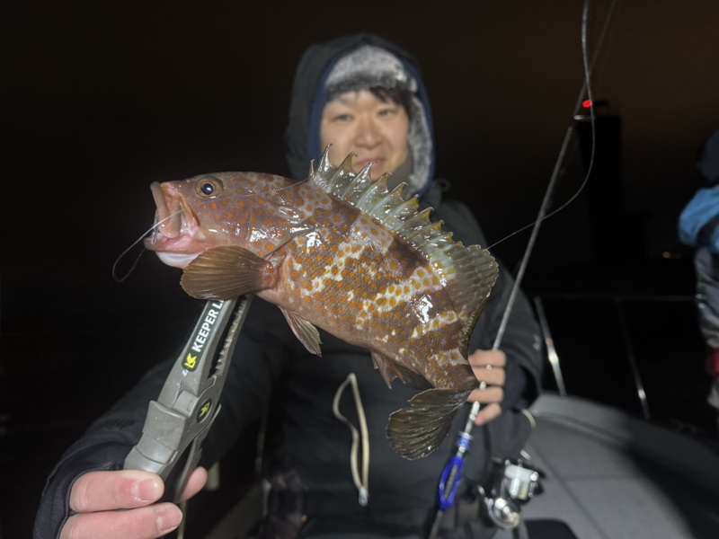 神戸沖ボートアジング釣果!!