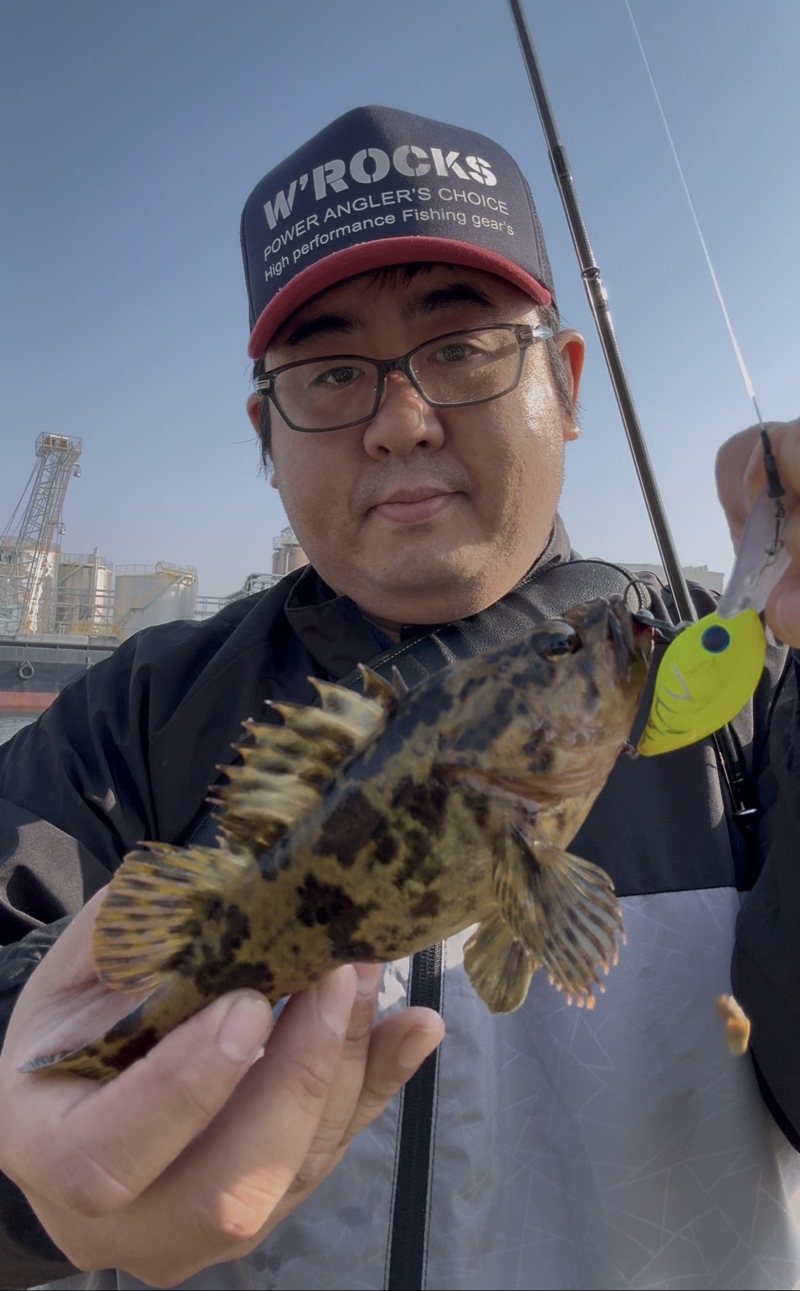 兵庫県二見人工島のソルトクランクによるロックフィッシュ釣果